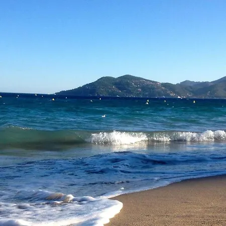 Croisette A 5 Mn De La * Cannes